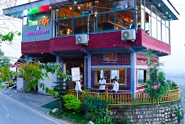 tree cafe in dehradun